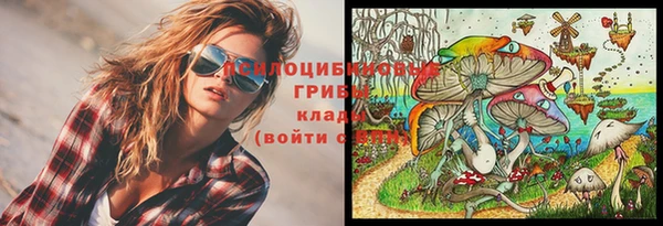 дмт Лиски