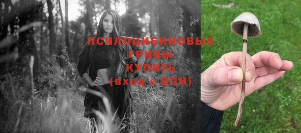 a pvp Кулебаки
