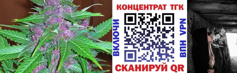 Купить где  Новомичуринск  ТГК концентрат 